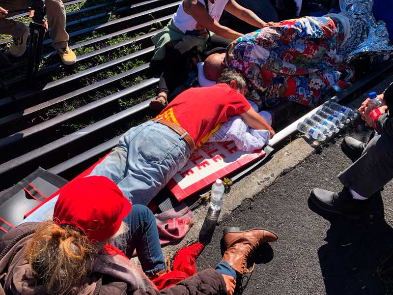 Protestors have risked arrest in their efforts to stop construction of the controversial telescope.